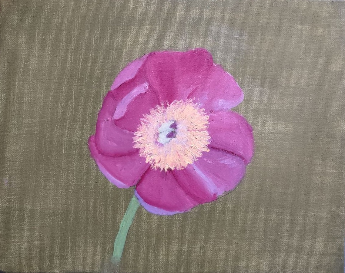 Flower (Anemone)